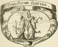 An illustration from Mater amoris et doloris : quam Christus in cruce moriens omnibus ac singulis suis fidelibus in matrem legavit, ecce mater tua : nunc explicata per sacra emblemata, figuras scripturae quàm plurimas, conceptus varios praedicabiles, SS. patrum sententias, raras historias, & pios ad Jesum patientem, ac sanctissimam matrem ejus compatientem affectus : opus omnibus Jesum & Mariam amantibus, praedicantibus, aut meditantibus perutile, com triplici indice considerationum, rerum memorabilium, & concionatorio, formandis per annum concionibus opportuno (1726)