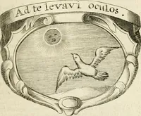 An illustration from Mater amoris et doloris : quam Christus in cruce moriens omnibus ac singulis suis fidelibus in matrem legavit, ecce mater tua : nunc explicata per sacra emblemata, figuras scripturae quàm plurimas, conceptus varios praedicabiles, SS. patrum sententias, raras historias, & pios ad Jesum patientem, ac sanctissimam matrem ejus compatientem affectus : opus omnibus Jesum & Mariam amantibus, praedicantibus, aut meditantibus perutile, com triplici indice considerationum, rerum memorabilium, & concionatorio, formandis per annum concionibus opportuno (1726)