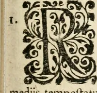 An illustration from Mater amoris et doloris : quam Christus in cruce moriens omnibus ac singulis suis fidelibus in matrem legavit, ecce mater tua : nunc explicata per sacra emblemata, figuras scripturae quàm plurimas, conceptus varios praedicabiles, SS. patrum sententias, raras historias, & pios ad Jesum patientem, ac sanctissimam matrem ejus compatientem affectus : opus omnibus Jesum & Mariam amantibus, praedicantibus, aut meditantibus perutile, com triplici indice considerationum, rerum memorabilium, & concionatorio, formandis per annum concionibus opportuno (1726)