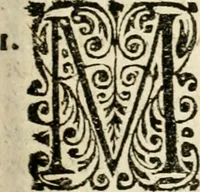 An illustration from Mater amoris et doloris : quam Christus in cruce moriens omnibus ac singulis suis fidelibus in matrem legavit, ecce mater tua : nunc explicata per sacra emblemata, figuras scripturae quàm plurimas, conceptus varios praedicabiles, SS. patrum sententias, raras historias, & pios ad Jesum patientem, ac sanctissimam matrem ejus compatientem affectus : opus omnibus Jesum & Mariam amantibus, praedicantibus, aut meditantibus perutile, com triplici indice considerationum, rerum memorabilium, & concionatorio, formandis per annum concionibus opportuno (1726)