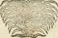 An illustration from Mater amoris et doloris : quam Christus in cruce moriens omnibus ac singulis suis fidelibus in matrem legavit, ecce mater tua : nunc explicata per sacra emblemata, figuras scripturae quàm plurimas, conceptus varios praedicabiles, SS. patrum sententias, raras historias, & pios ad Jesum patientem, ac sanctissimam matrem ejus compatientem affectus : opus omnibus Jesum & Mariam amantibus, praedicantibus, aut meditantibus perutile, com triplici indice considerationum, rerum memorabilium, & concionatorio, formandis per annum concionibus opportuno (1726)