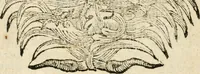 An illustration from Mater amoris et doloris : quam Christus in cruce moriens omnibus ac singulis suis fidelibus in matrem legavit, ecce mater tua : nunc explicata per sacra emblemata, figuras scripturae quàm plurimas, conceptus varios praedicabiles, SS. patrum sententias, raras historias, & pios ad Jesum patientem, ac sanctissimam matrem ejus compatientem affectus : opus omnibus Jesum & Mariam amantibus, praedicantibus, aut meditantibus perutile, com triplici indice considerationum, rerum memorabilium, & concionatorio, formandis per annum concionibus opportuno (1726)