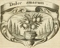 An illustration from Mater amoris et doloris : quam Christus in cruce moriens omnibus ac singulis suis fidelibus in matrem legavit, ecce mater tua : nunc explicata per sacra emblemata, figuras scripturae quàm plurimas, conceptus varios praedicabiles, SS. patrum sententias, raras historias, & pios ad Jesum patientem, ac sanctissimam matrem ejus compatientem affectus : opus omnibus Jesum & Mariam amantibus, praedicantibus, aut meditantibus perutile, com triplici indice considerationum, rerum memorabilium, & concionatorio, formandis per annum concionibus opportuno (1726)
