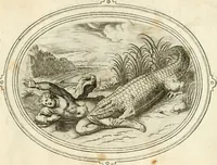 Picture 113 of 128 from Amorum emblemata, figuris aeneis incisa (1608), leaf 236