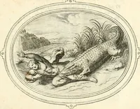 An illustration from Amorum emblemata, figuris aeneis incisa (1608)