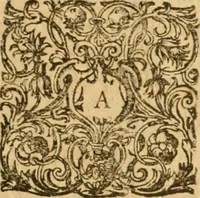 An illustration from Amphitheatrvm sapientiae aeternae : solius verae, christiano-kabalisticvm, divino-magicvm, nec non physico-chymicvm, tertrivnvm, catholicon (1609)