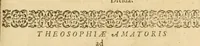 An illustration from Amphitheatrvm sapientiae aeternae : solius verae, christiano-kabalisticvm, divino-magicvm, nec non physico-chymicvm, tertrivnvm, catholicon (1609)