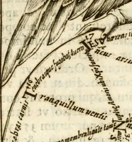 An illustration from Ampla et diligente relatione de gli honori fatti al cuore di San Carlo : per lettera scritta all'illustrissimo sig. conte Carlo Borromeo, nipote del santo (1614)