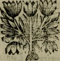 Picture 2 of 21 from Amstelredams eer ende opcomen, : door de denckwaerdighe miraklen aldaer gescheid, aen ende door het H. Sacrement des altaers. Anno 1345 (1639), leaf 11