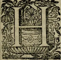 An illustration from Amstelredams eer ende opcomen, : door de denckwaerdighe miraklen aldaer gescheid, aen ende door het H. Sacrement des altaers. Anno 1345 (1639)