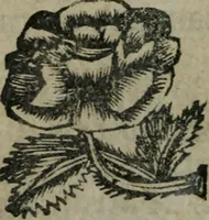 An illustration from Amstelredams eer ende opcomen, : door de denckwaerdighe miraklen aldaer gescheid, aen ende door het H. Sacrement des altaers. Anno 1345 (1639)