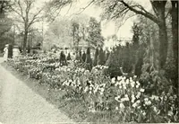 Picture 127 of 128 from Amsterdam et Harlem (1913), leaf 159