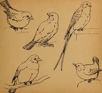 Picture 69 of 72 from Amusement for little children; drawing and tracing book .. (1898), leaf 120