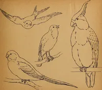 Picture 72 of 72 from Amusement for little children; drawing and tracing book .. (1898), leaf 126