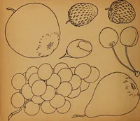 Picture 38 of 72 from Amusement for little children; drawing and tracing book .. (1898), leaf 59