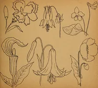 An illustration from Amusement for little children; drawing and tracing book .. (1898)