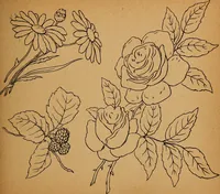 An illustration from Amusement for little children; drawing and tracing book .. (1898)