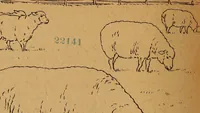 An illustration from Amusement for little children; drawing and tracing book .. (1898)