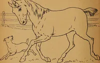 An illustration from Amusement for little children; drawing and tracing book .. (1898)