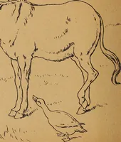 An illustration from Amusement for little children; drawing and tracing book .. (1898)