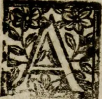 An illustration from Amvlio, e Nvmitore: drama per musica (1689)