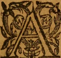 An illustration from Anabaptismes mysterie of iniquity unmasked, with rules of comfort for a wounded spirit .. (1622)