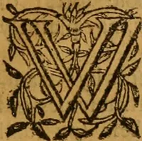 An illustration from Anabaptismes mysterie of iniquity unmasked, with rules of comfort for a wounded spirit .. (1622)