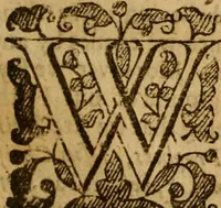 An illustration from Anabaptism routed, or, A survey of the controverted points ... : together with a particular answer to all that is addeadged in favour of the Anabaptists, by Dr. Jer. Taylor, in his book, called, The liberty of prophesying (1655)