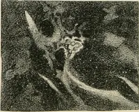 An illustration from Analyse spectrale des corps célestes. Traduit de l'anglais par l'abbé Moigno (1866)