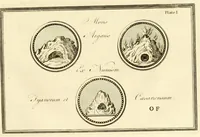 Picture 1 of 12 from A new system, or, An analysis of ancient mythology : wherein an attempt is made to divest tradition of fable, and to reduce the truth to its original purity ... (1774), leaf 245
