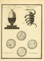 Picture 6 of 21 from A new system, or, An analysis of ancient mythology : wherein an attempt is made to divest tradition of fable, and to reduce the truth to its original purity ... (1774), leaf 271