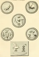 An illustration from A new system, or, An analysis of ancient mythology : wherein an attempt is made to divest tradition of fable, and to reduce the truth to its original purity ... (1774)