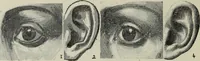 Picture 47 of 92 from Analysis of drawing, painting and composing (1904), leaf 109