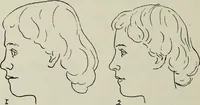 Picture 50 of 92 from Analysis of drawing, painting and composing (1904), leaf 111