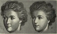 Picture 53 of 92 from Analysis of drawing, painting and composing (1904), leaf 139