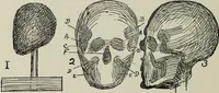 An illustration from Analysis of drawing, painting and composing (1904)