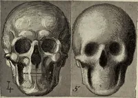 An illustration from Analysis of drawing, painting and composing (1904)
