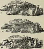 Picture 57 of 92 from Analysis of drawing, painting and composing (1904), leaf 147