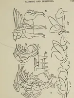 Picture 70 of 92 from Analysis of drawing, painting and composing (1904), leaf 168