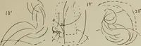 Picture 73 of 92 from Analysis of drawing, painting and composing (1904), leaf 172