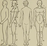Picture 86 of 92 from Analysis of drawing, painting and composing (1904), leaf 206