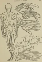 Picture 92 of 92 from Analysis of drawing, painting and composing (1904), leaf 216