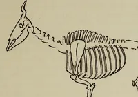 An illustration from Analysis of drawing, painting and composing (1904)