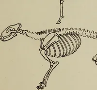 Picture 13 of 92 from Analysis of drawing, painting and composing (1904), leaf 34