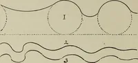 Picture 15 of 92 from Analysis of drawing, painting and composing (1904), leaf 39