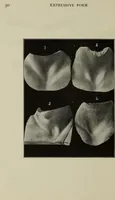 Picture 17 of 92 from Analysis of drawing, painting and composing (1904), leaf 41