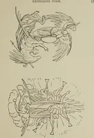 Picture 22 of 92 from Analysis of drawing, painting and composing (1904), leaf 48