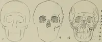 Picture 34 of 92 from Analysis of drawing, painting and composing (1904), leaf 85