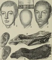 An illustration from Analysis of drawing, painting and composing (1904)