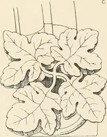 Picture 129 of 208 from An analysis of Gothick architecture ; (1847), leaf 176